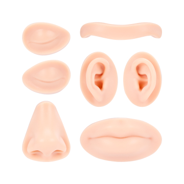 A Pound of Flesh - Udskiftelige dele til tatovering, PMU og piercinghoved - Fitzpatrick Tone 2