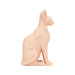 A Pound of Flesh Sphynx Nøgen kat