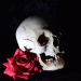 Opium Tattoo Gallery - Skulls and Roses Reference Photos USB af Filip Pasieka