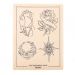 Design Tattoo øvehud