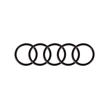 Pakke med 5 o ringer for Cheyenne Thunder og Spirit